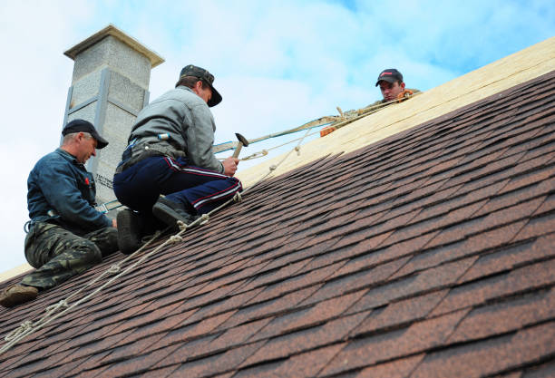 Best Gutter Installation and Roofing  in Winter Park, FL